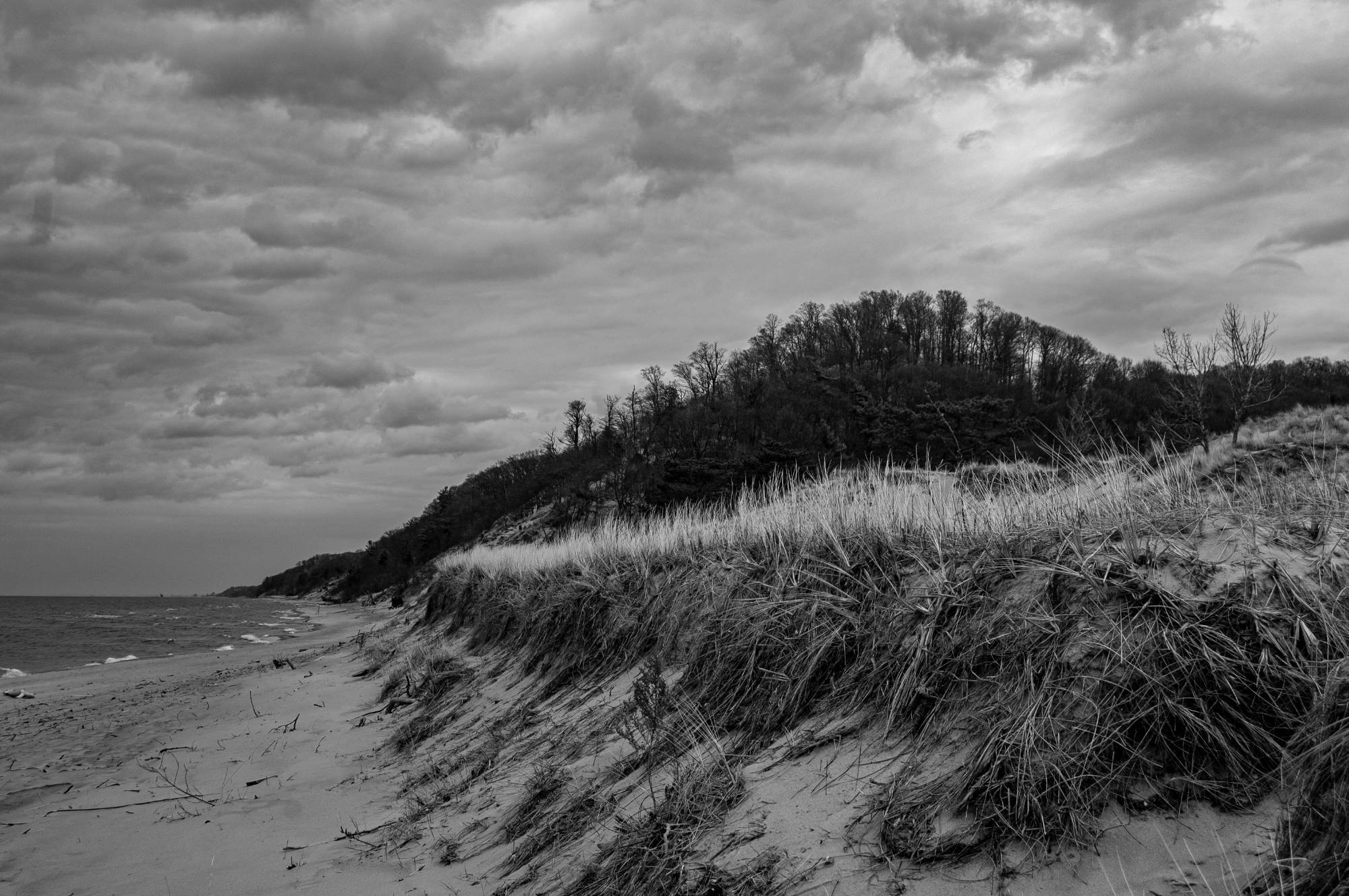Black and white photograph of a shoreline at a beach.